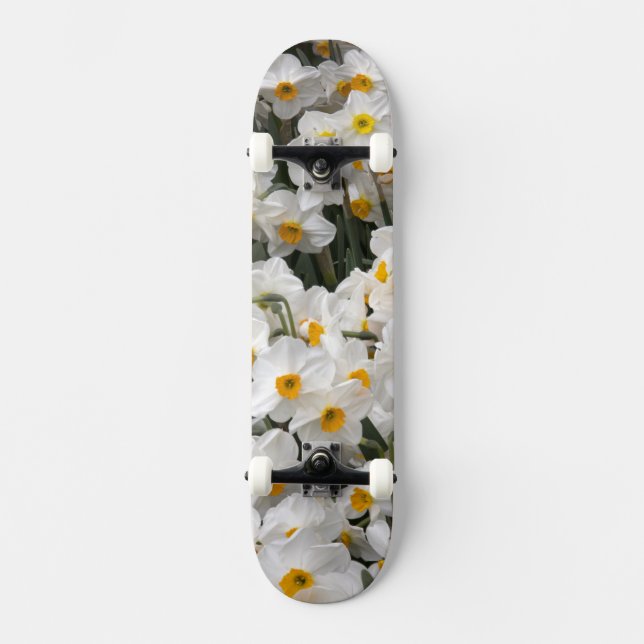 WA, Skagit Valley, Daffodil pattern Skateboard (Front)
