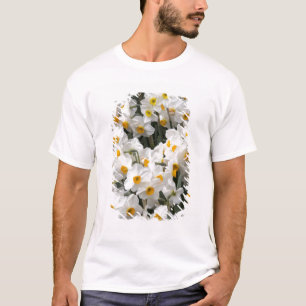 WA, Skagit Valley, Daffodil pattern T-Shirt