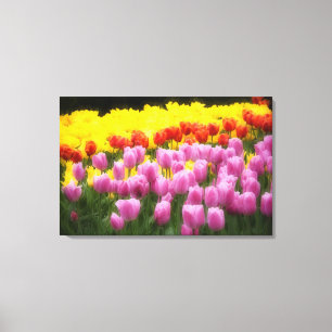 WA, Skagit Valley, Roozengaarde Tulip Garden, 2 Canvas Print
