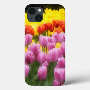 WA, Skagit Valley, Roozengaarde Tulip Garden, 2 iPhone 13 Case