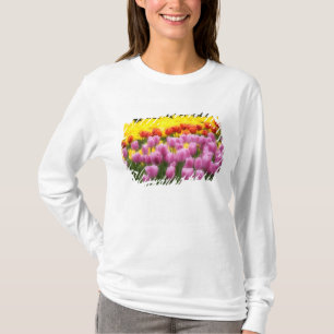 WA, Skagit Valley, Roozengaarde Tulip Garden, 2 T-Shirt