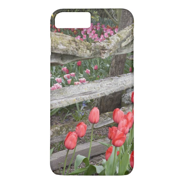WA, Skagit Valley, Roozengaarde Tulip Garden, Case-Mate iPhone Case (Back)