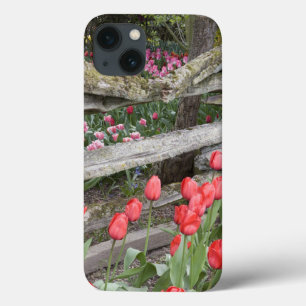 WA, Skagit Valley, Roozengaarde Tulip Garden, iPhone 13 Case