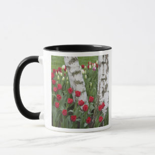 WA, Skagit Valley, Roozengaarde Tulip Garden Mug