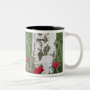WA, Skagit Valley, Roozengaarde Tulip Garden Two-Tone Coffee Mug