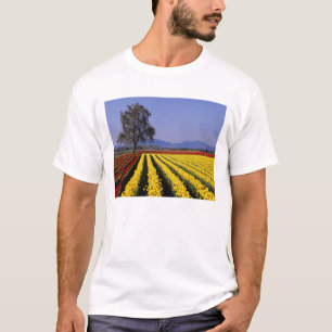 WA, Skagit Valley, Skagit Valley Tulip 2 T-Shirt