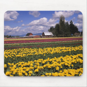 WA, Skagit Valley, Skagit Valley Tulip Mouse Mat