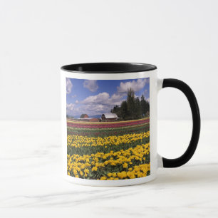 WA, Skagit Valley, Skagit Valley Tulip Mug