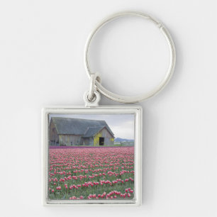 WA, Skagit Valley, Tulip Field and Barn Key Ring