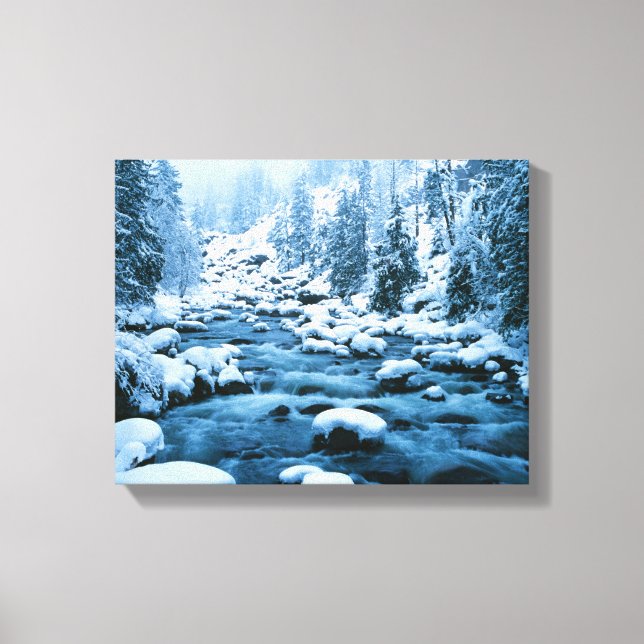 WA, Wenatchee National Forest, Cascade Canvas Print (Front)