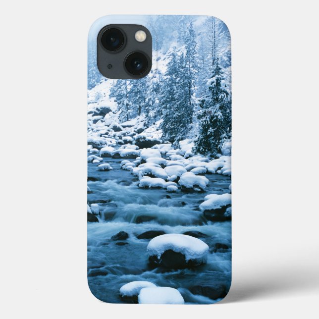 WA, Wenatchee National Forest, Cascade Case-Mate iPhone Case (Back)