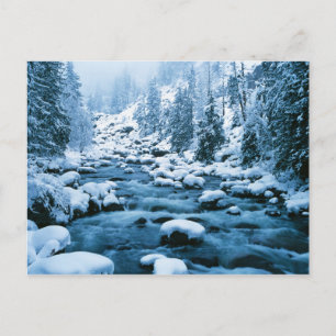 WA, Wenatchee National Forest, Cascade Postcard