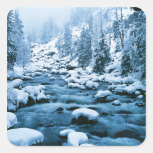WA, Wenatchee National Forest, Cascade Square Sticker
