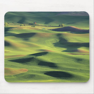 WA, Whitman County, Palouse Farmland, view Mouse Mat