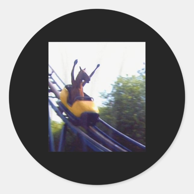 Wacky Horse Riding Roller Coaster Meme Internet Fu Classic Round Sticker (Front)