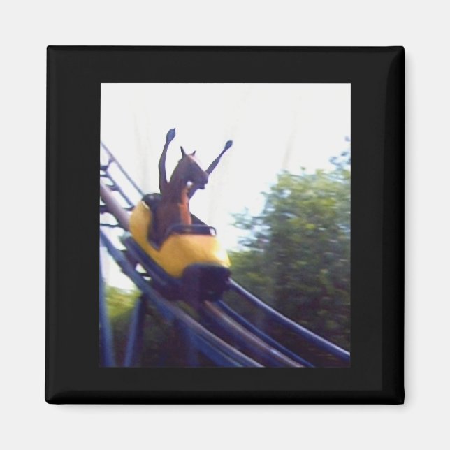 Wacky Horse Riding Roller Coaster Meme Internet Fu Magnet (Front)