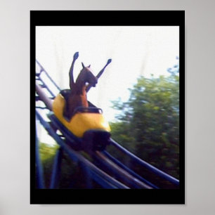 Wacky Horse Riding Roller Coaster Meme Internet Fu Poster