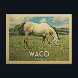 Waco Texas Horse Farm - Vintage Travel Postcard<br><div class="desc">Waco Texas rural vintage travel postcard.  It features a white horse grazing on green grass with fence and blue clouds sky above. A fun country farm image with rustic charm.</div>