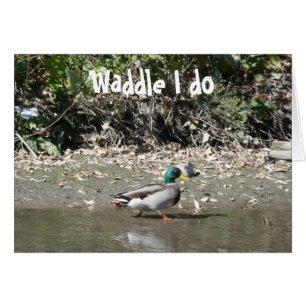 Waddle I do