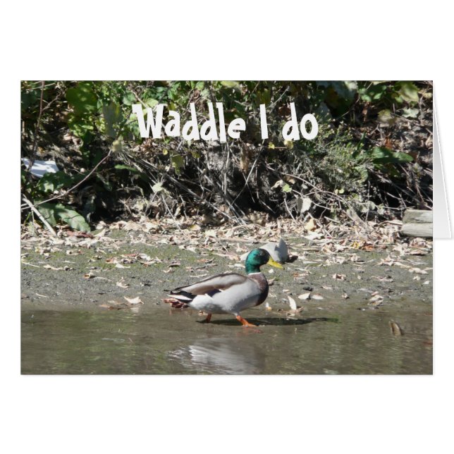 Waddle I do (Front Horizontal)