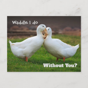 Waddle I Do Funny Ducks Postcard