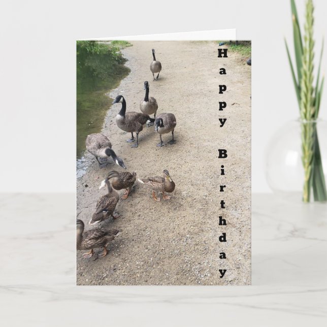 WADDLING ALONG/SINGING A SONG BIRTHDAY CARD (Front)