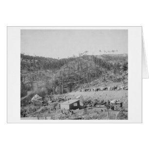 Wade and Jones Railroad Camp in Whitewood Canyon