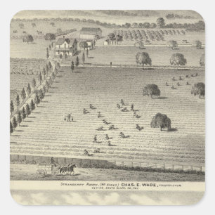 Wade ranch, Weller residence Square Sticker