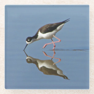 Wading Bird Calm Water Reflection Photo Nature Glass Coaster
