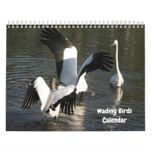 Wading Birds Calendar