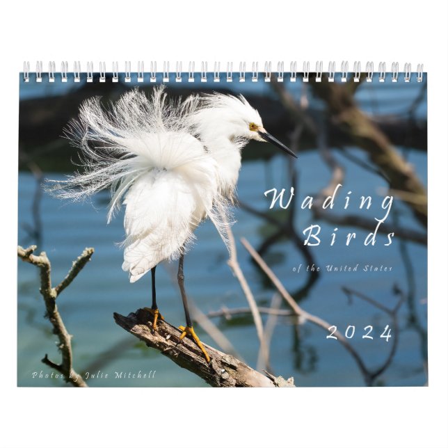 Wading Birds of the USA - Original 2024 Calendar (Cover)