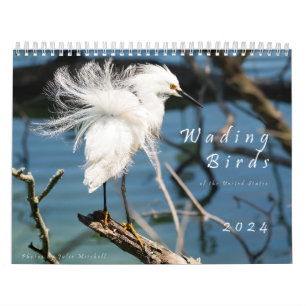 Wading Birds of the USA - Original 2024 Calendar