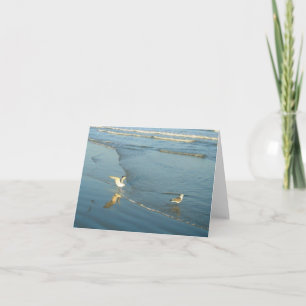Wading Gulls Blank Note Cards