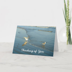 Wading Gulls Thinking of You Card