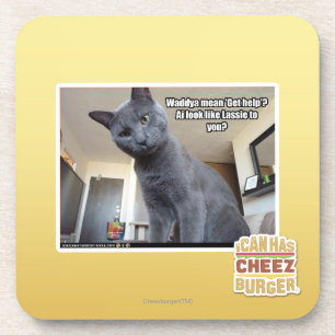 Wadya mean 'Get help'? Coaster