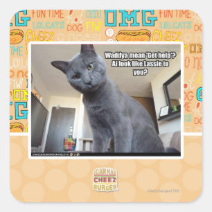 Wadya mean 'Get help'? Square Sticker