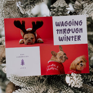 Wagging Through Winter Purple Pet Photo Holiday Card