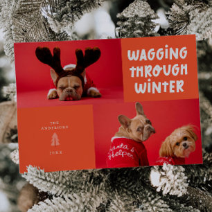 Wagging Through Winter Retro Red Pet Photo Holiday Card