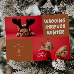 Wagging Through Winter Terracotta Pet Photo Holiday Card