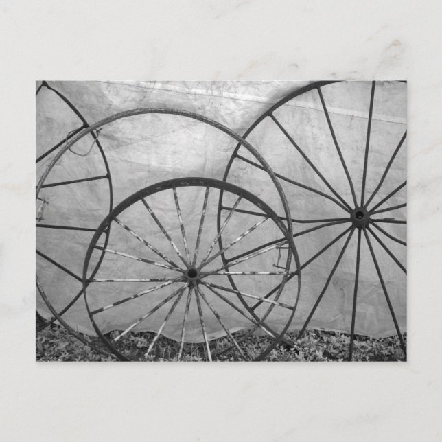 Wagon Wheel Still Life Postcard (Front)