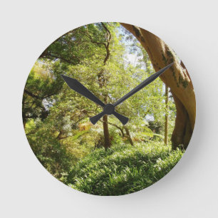 Wahiawa Botanical Garden Round Clock
