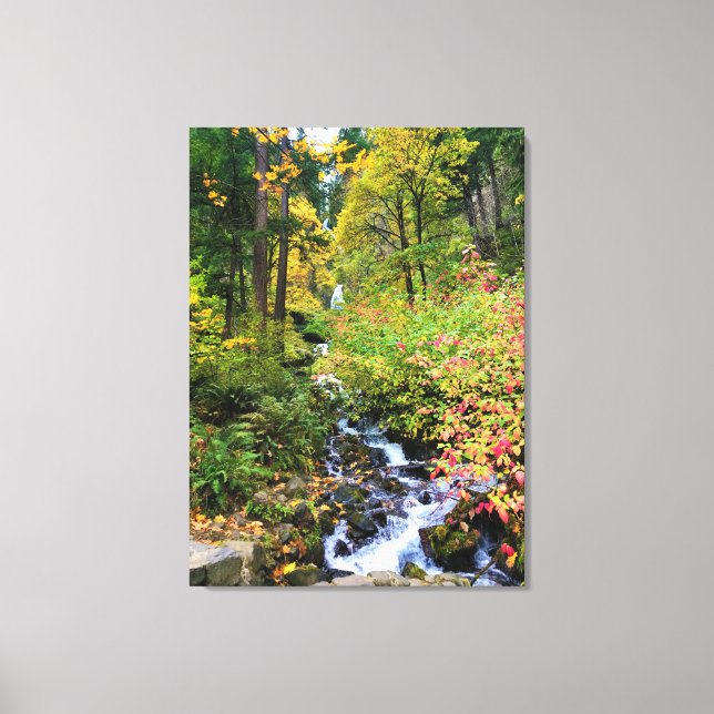 Wahkeena Falls, Columbia River Gorge, Oregon Canvas Print (Front)