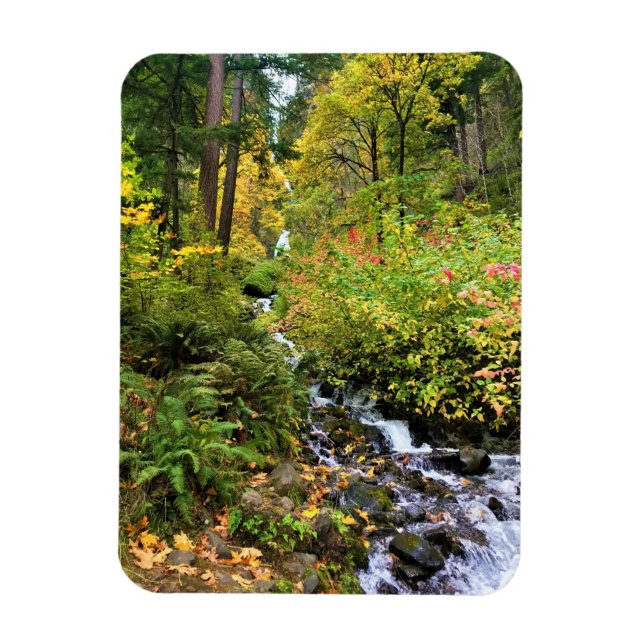 Wahkeena Falls, Columbia River Gorge, Oregon Magnet (Vertical)