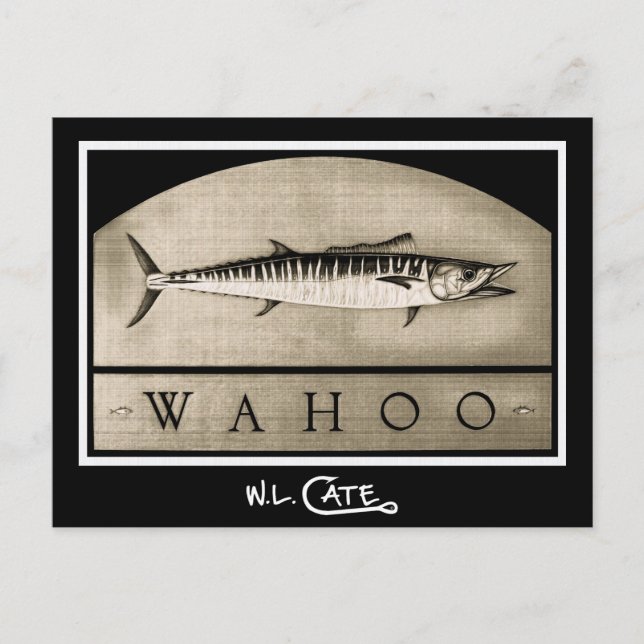 Wahoo Vintage Black & White Postcards (Front)