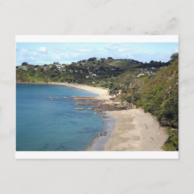 Waiheke Island scenic white sand beach Postcard (Front)