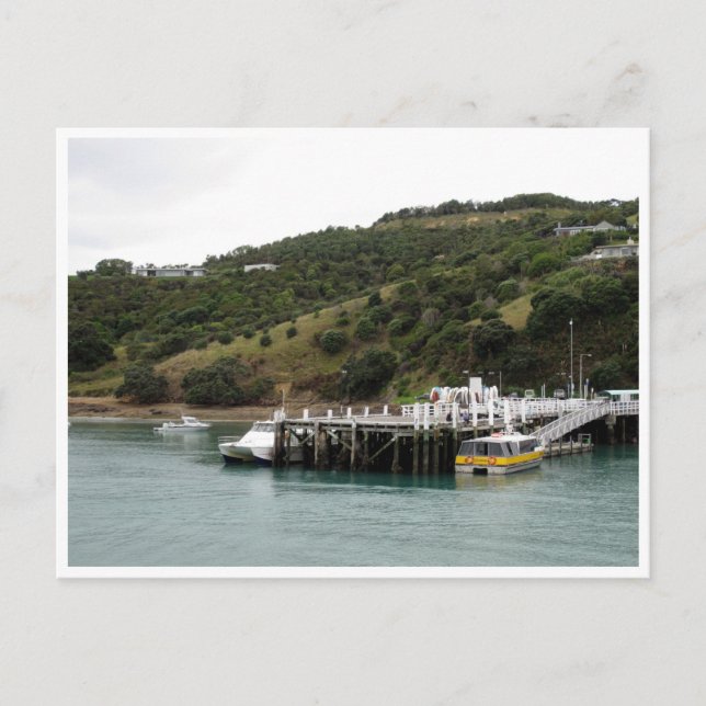 waiheke pier postcard (Front)