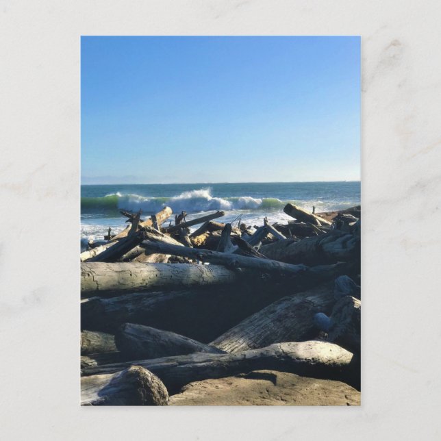 Waikiki Beach, Cape Disappointment, Washington Postcard (Front)