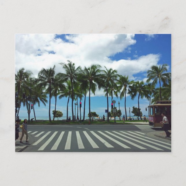 Waikiki Beach Hawaii Postcard (Front)