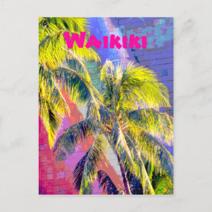 Waikiki Palm Tree Colour Postcard