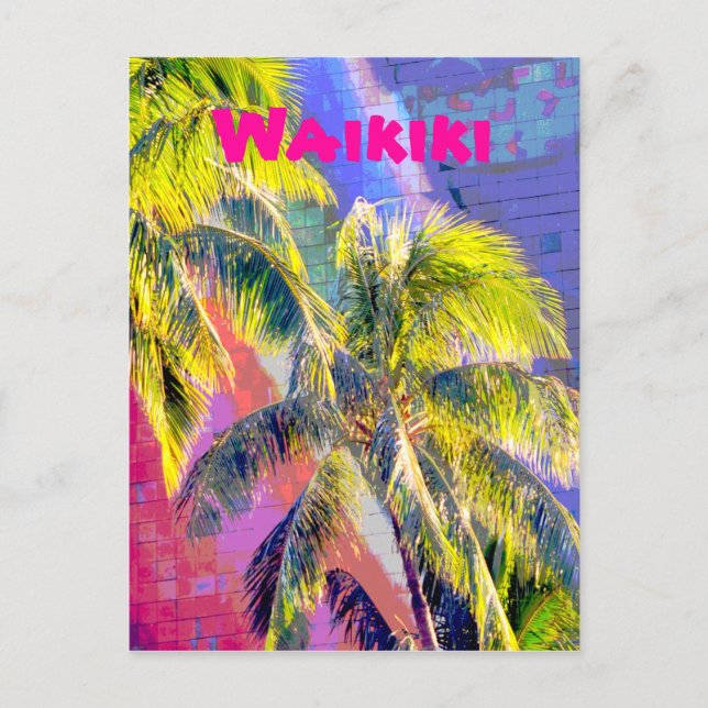 Waikiki Palm Tree Colour Postcard (Front)